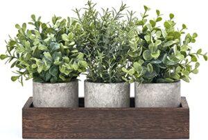 dahey 3 pack mini potted artificial eucalyptus fake plants with wood tray centerpiece table decor, farmhouse pulp flower pots greenery home decoration for coffee table dining room office kitchen
