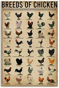 breeds of chickens poster vintage metal tin signs coffee shop rooster iron painting retro novelty funny bar pub restaurant kitchen farm chicken coop wall art home decor 8×12 inch