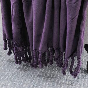 BYTIDE Throw Blankets Couch Cover Flannel Fleece Throw with Braided Rope Fringe Tassels, Plush Cozy Warm Soft Smooth Throw for Couch Sofa Bed Chair Home Décor, 50" x 60", Dark Purple