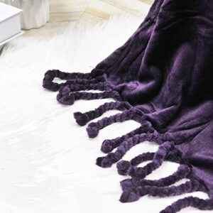 BYTIDE Throw Blankets Couch Cover Flannel Fleece Throw with Braided Rope Fringe Tassels, Plush Cozy Warm Soft Smooth Throw for Couch Sofa Bed Chair Home Décor, 50" x 60", Dark Purple