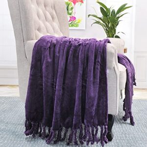 BYTIDE Throw Blankets Couch Cover Flannel Fleece Throw with Braided Rope Fringe Tassels, Plush Cozy Warm Soft Smooth Throw for Couch Sofa Bed Chair Home Décor, 50" x 60", Dark Purple