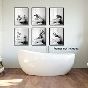 Funny Bathroom Decor Wall Art – Unframed Set of 6 (8 x 10 Inch) – Bathroom Wall Decor, Black and White Bathroom Decor, Kids Bathroom Decor, Animal Giraffe Penguin Elephant Bathroom Pictures for Wall Decor by LIYA Design Prints