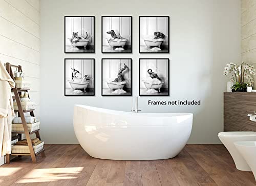 Funny Bathroom Decor Wall Art – Unframed Set of 6 (8 x 10 Inch) – Bathroom Wall Decor, Black and White Bathroom Decor, Kids Bathroom Decor, Animal Giraffe Penguin Elephant Bathroom Pictures for Wall Decor by LIYA Design Prints