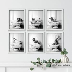 Funny Bathroom Decor Wall Art – Unframed Set of 6 (8 x 10 Inch) – Bathroom Wall Decor, Black and White Bathroom Decor, Kids Bathroom Decor, Animal Giraffe Penguin Elephant Bathroom Pictures for Wall Decor by LIYA Design Prints