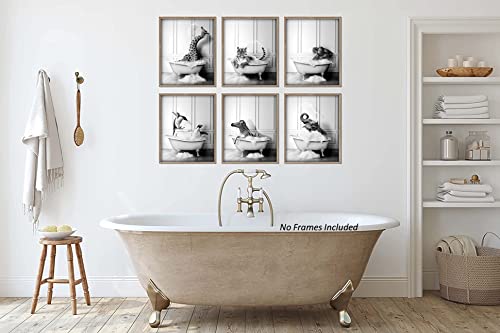 Funny Bathroom Decor Wall Art – Unframed Set of 6 (8 x 10 Inch) – Bathroom Wall Decor, Black and White Bathroom Decor, Kids Bathroom Decor, Animal Giraffe Penguin Elephant Bathroom Pictures for Wall Decor by LIYA Design Prints