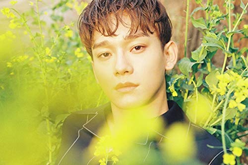 EXO Chen - [April, And A Flower] 1st Mini Album Random Version CD+Booklet+1p PhotoCard+BookMark+Tracking K-POP Sealed