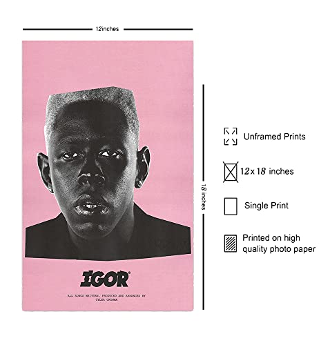 Tyler, The Creator Album - Igor Wall Decor Poster 12x18"