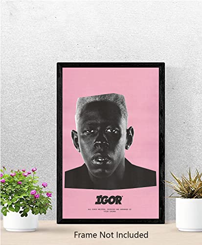 Tyler, The Creator Album - Igor Wall Decor Poster 12x18"