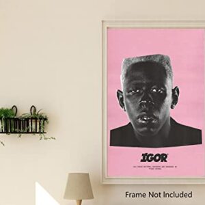 Tyler, The Creator Album - Igor Wall Decor Poster 12x18"