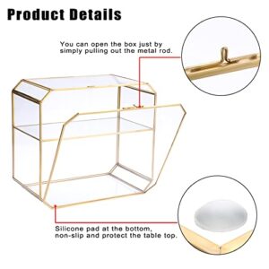 ELLDOO 2 Tier Clear Glass Storage Box, Gold Jewelry Makeup Organizer Box, Decorative Tower Box Display Case for Collectibles Trinket Perfume Lipstick Figure Toy