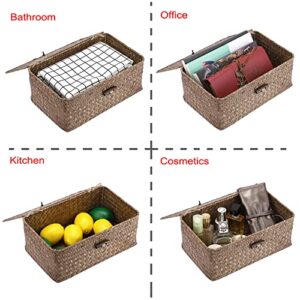 Hipiwe Wicker Shelf Baskets Bin with Lid, Handwoven Seagrass Basket Storage Bins Rectangular Household Basket Boxes for Shelf Wardrobe Home Organizer, Coffee Small