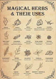 dzquy magical herbs and their uses witchy poster kitchen witch wall art vintage witchery witches magic knowledge tin signs for man cave 8×12 inch, brown