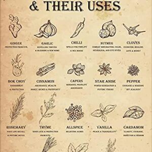 DZQUY Magical Herbs And Their Uses Witchy Poster Kitchen Witch Wall Art Vintage Witchery Witches Magic Knowledge Tin Signs For Man Cave 8x12 Inch, Brown