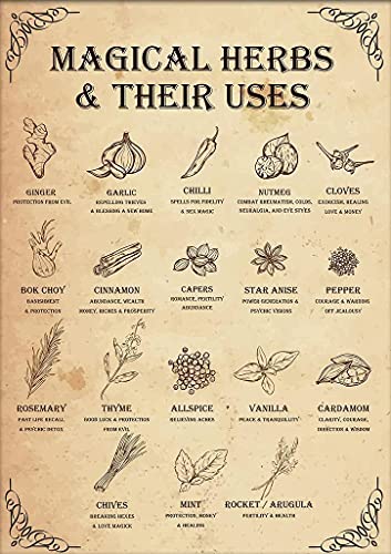 DZQUY Magical Herbs And Their Uses Witchy Poster Kitchen Witch Wall Art Vintage Witchery Witches Magic Knowledge Tin Signs For Man Cave 8x12 Inch, Brown