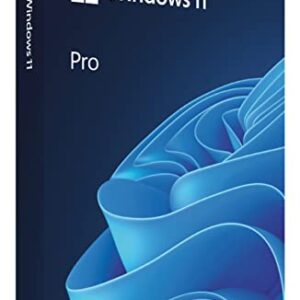 Microsoft Windows 11 Pro (USB)