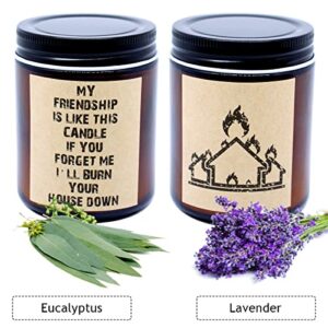 Funny My Friendship is Like This Candle Gift to Friends, Soy Wax Lavender, Eucalyptus Scented Candles to Best Friends