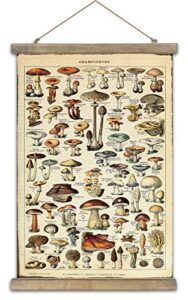 shoxrem vintage poster,rustic art prints, retro style of wall hanging for living room office classroom bedroom playroom apartment decor. (botany of mushroom 1panels, 16“ x 24”)