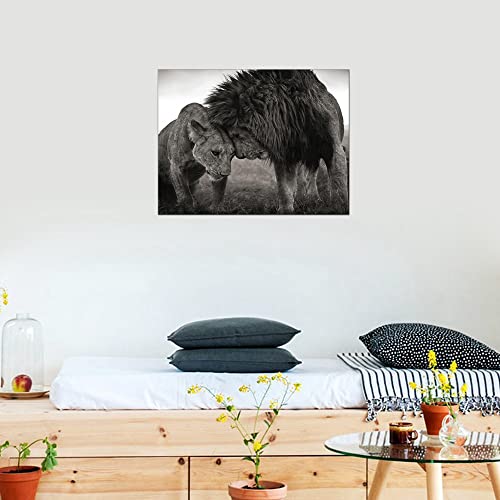 Black and White Lion and Lioness Poster Print Bedroom Living Room Wall Art African Couple Animal Artwork Framed Canvas Painting Print for Office Home Decor Ready to Hang 16x24inch