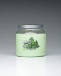 scentsational candles | sherwood forest jar candle | luxury scented soy jar candle | hand poured in the usa | highly scented & long lasting | 19 oz.