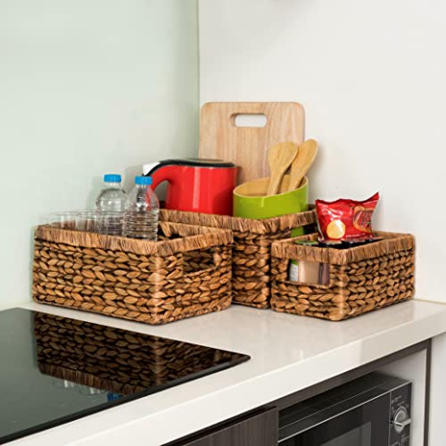 CENBOSS Woven Storage Baskets (Brown Wash, Set of 3 Sizes)