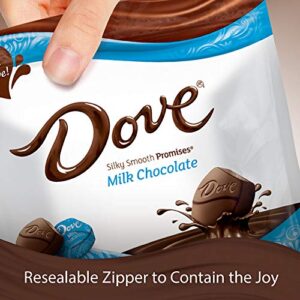 Dove Promises Milk Chocolate Candy Bag, 15.8 Oz