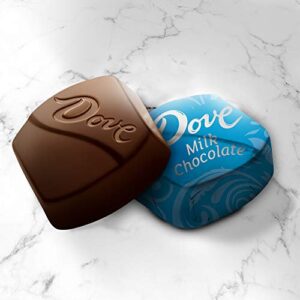 Dove Promises Milk Chocolate Candy Bag, 15.8 Oz