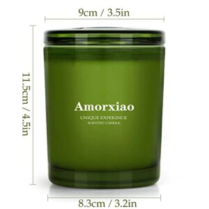 2 Pack Eucalyptus Candles, Candles for Home Scented, 11.3 OZ Longlast 65-70 Hours Natural Soy Candles Come in a Beautiful Gift Box, Candles Gifts for Women, Family, Friends （Eucalyptus & Mint）