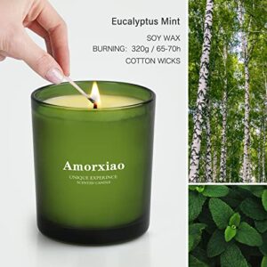 2 Pack Eucalyptus Candles, Candles for Home Scented, 11.3 OZ Longlast 65-70 Hours Natural Soy Candles Come in a Beautiful Gift Box, Candles Gifts for Women, Family, Friends （Eucalyptus & Mint）