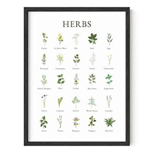 haus and hues herb pictures for kitchen wall art – kitchen herbs wall art and botanical prints herbs art, kitchen wall art herbs and kitchen art, cottage core decor (black framed, 12×16)