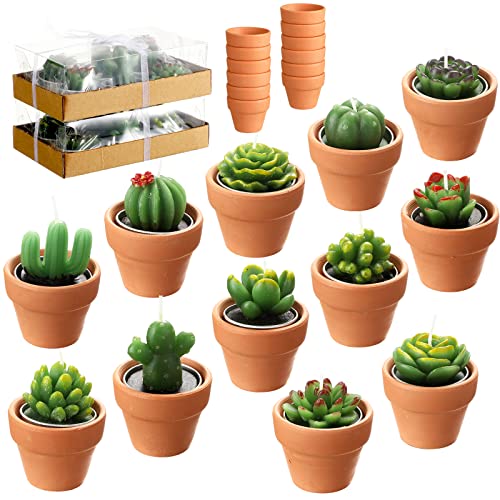 12 Pieces Succulent Candles Novelty Handmade Cactus Tealight Candle Delicate Stylish Plant Candle Mini Cactus Candles for Party Favors Baby Shower Decorations Wedding Gifts Birthday (Cute Style)