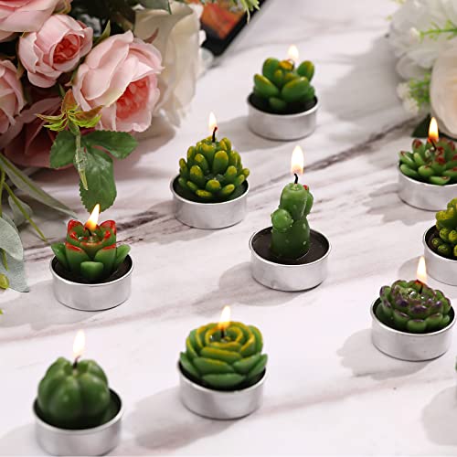 12 Pieces Succulent Candles Novelty Handmade Cactus Tealight Candle Delicate Stylish Plant Candle Mini Cactus Candles for Party Favors Baby Shower Decorations Wedding Gifts Birthday (Cute Style)