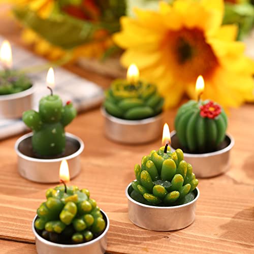 12 Pieces Succulent Candles Novelty Handmade Cactus Tealight Candle Delicate Stylish Plant Candle Mini Cactus Candles for Party Favors Baby Shower Decorations Wedding Gifts Birthday (Cute Style)