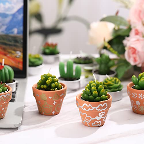 12 Pieces Succulent Candles Novelty Handmade Cactus Tealight Candle Delicate Stylish Plant Candle Mini Cactus Candles for Party Favors Baby Shower Decorations Wedding Gifts Birthday (Cute Style)