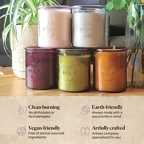 Paddywax Firefly Candle Co. En Plein Air Scented Candles with Soy Wax Blend and Reusable Glass Jar for Home Fragrance and Aromatherapy - 10 Ounce, Grapefruit Mangosteen, Blush Pink