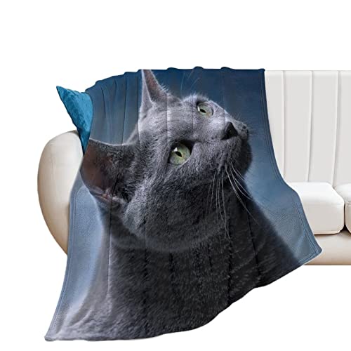 Fleece Blanket Plush,Blue Russian Cat Feline Animal Tail Whiskers Beautiful Carnivore Charming Claw,Microfiber Fuzzy Soft Cozy Flannel Throw Blankets for Couch, ?Bed, Sofa, Camping, Travel