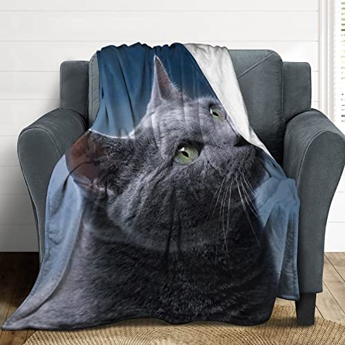 Fleece Blanket Plush,Blue Russian Cat Feline Animal Tail Whiskers Beautiful Carnivore Charming Claw,Microfiber Fuzzy Soft Cozy Flannel Throw Blankets for Couch, ?Bed, Sofa, Camping, Travel