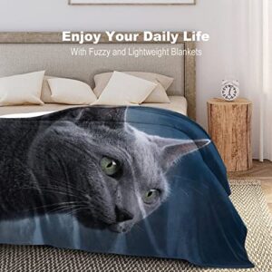 Fleece Blanket Plush,Blue Russian Cat Feline Animal Tail Whiskers Beautiful Carnivore Charming Claw,Microfiber Fuzzy Soft Cozy Flannel Throw Blankets for Couch, ?Bed, Sofa, Camping, Travel