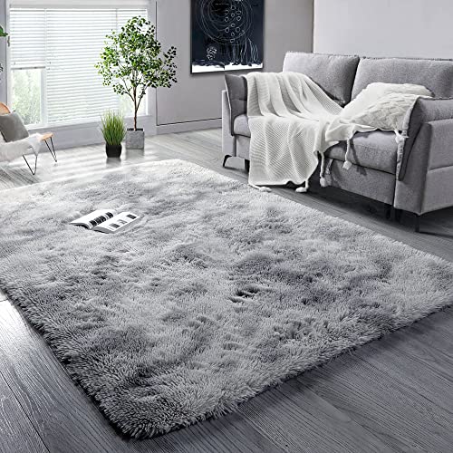 BSTLUV Light Gray Rugs for Bedroom,Soft Carpet,4x6 Area Rug,Fluffy Fur Rugs for Living Room,Kids,Girls,Boys,Baby Room,Playroom,Dorm,Office,Home Decor,Fuzzy Nursery Rug,Bedside Rug,Shaggy Indoor Rug