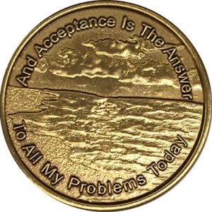 Bulk Roll of 25 Acceptance is The Answer Beach Sunrise Bronze AA Medallion Chip Page 449 417