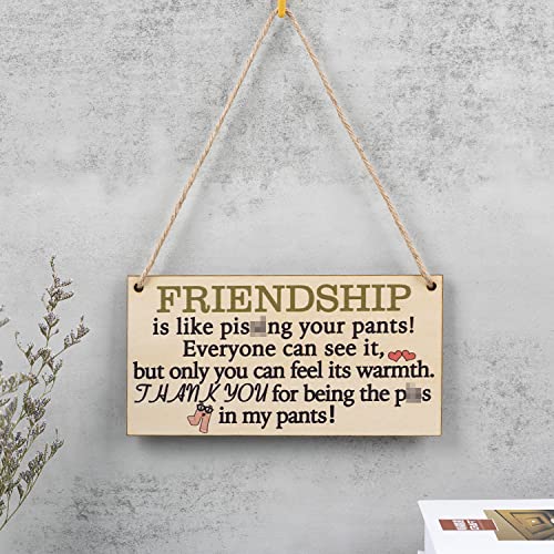 Funny Best Friend Birthday Gifts for Women Friendship Gifts for Women Friends Unique Personalized Plaques Gift for Girl Women Female Friends Wall Art Decor Wooden Sign Bff Gifts for Women Under 10 Dollars