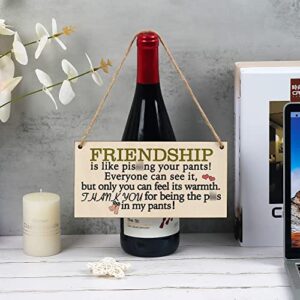 Funny Best Friend Birthday Gifts for Women Friendship Gifts for Women Friends Unique Personalized Plaques Gift for Girl Women Female Friends Wall Art Decor Wooden Sign Bff Gifts for Women Under 10 Dollars