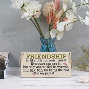 Funny Best Friend Birthday Gifts for Women Friendship Gifts for Women Friends Unique Personalized Plaques Gift for Girl Women Female Friends Wall Art Decor Wooden Sign Bff Gifts for Women Under 10 Dollars