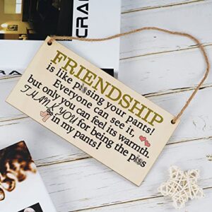 Funny Best Friend Birthday Gifts for Women Friendship Gifts for Women Friends Unique Personalized Plaques Gift for Girl Women Female Friends Wall Art Decor Wooden Sign Bff Gifts for Women Under 10 Dollars