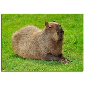 ddfghei capybara in the grass cute animal poster print art picture 9231 canvas prints poster wall art for home office decorations unframed 18″x12″