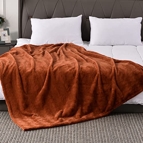 Krifey Oversized Minky Blanket, Super Soft Fluffy Luxury Throw Blanket Comfy Faux Fur Bed Throw Camel 60" x 80"