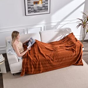 Krifey Oversized Minky Blanket, Super Soft Fluffy Luxury Throw Blanket Comfy Faux Fur Bed Throw Camel 60" x 80"