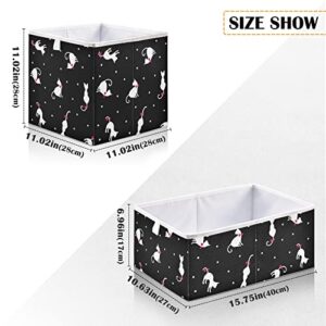 Cute Cats Black Storage Baskets for Shelves Foldable Collapsible Storage Box Bins with Fabric Bins Cube Toys Organizers for Pantry Organizing Shelf Nursery Home Closet,11 x 11inch