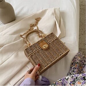 Handwoven Rattan vintage purse Bag Natural Chic Casual Handbag Beach Sea tote Basket Straw vacation Bag (Brown)