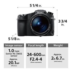 Sony Cyber‑Shot RX10 IV with 0.03 Second Auto-Focus & 25x Optical Zoom (DSC-RX10M4)