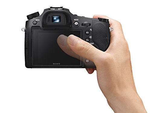 Sony Cyber‑Shot RX10 IV with 0.03 Second Auto-Focus & 25x Optical Zoom (DSC-RX10M4)